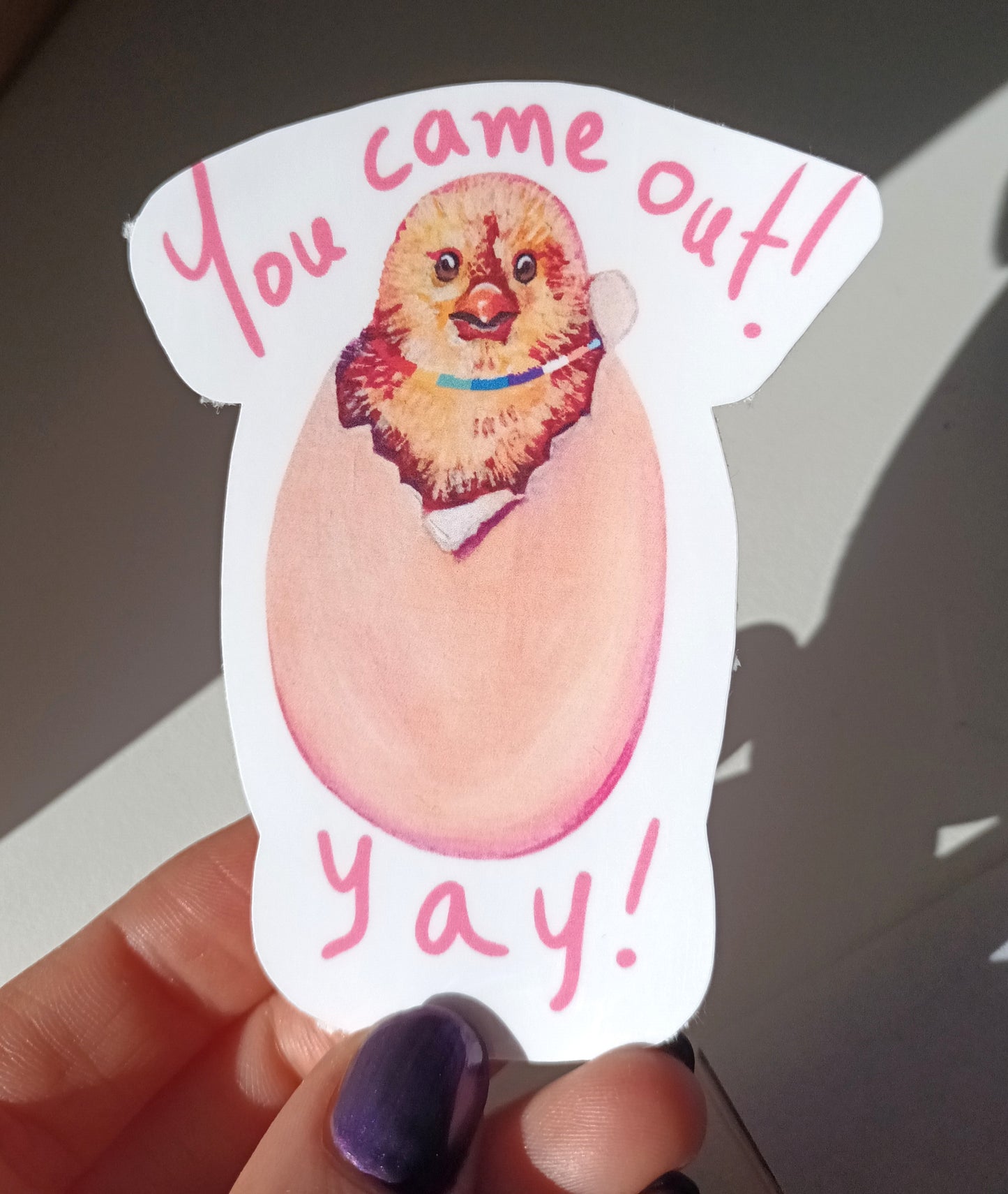 Cute chicken coming out of a shell sticker celebrating LGBTQ+ coming outs, hand-drawn design on waterproof vinyl, held by hand.