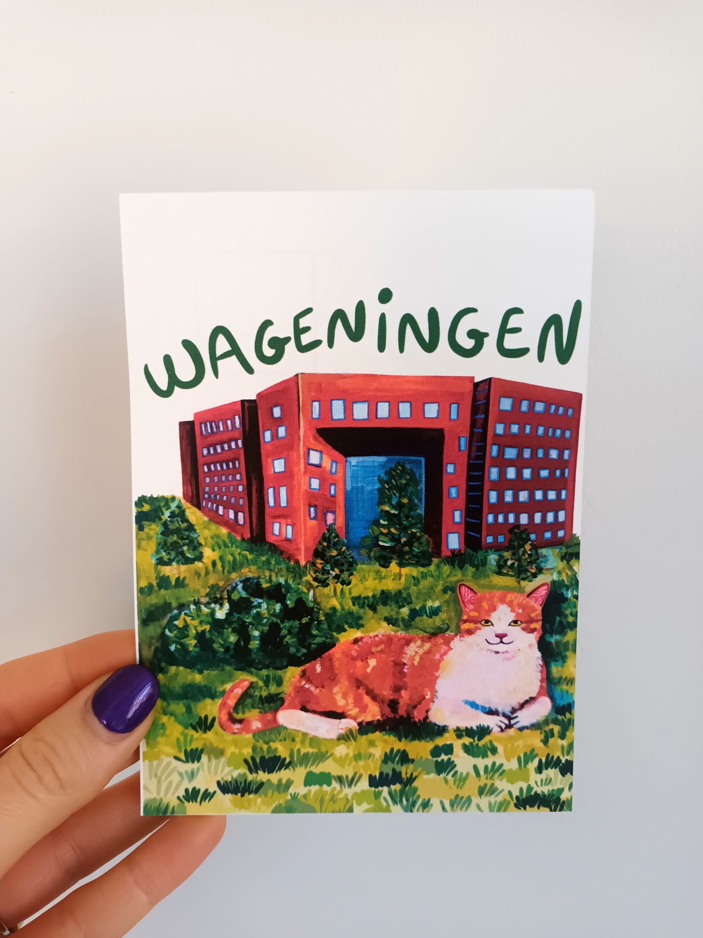 Illustrated postcard featuring an adorable orange cat in Wageningen – handmade and printed by the artist.