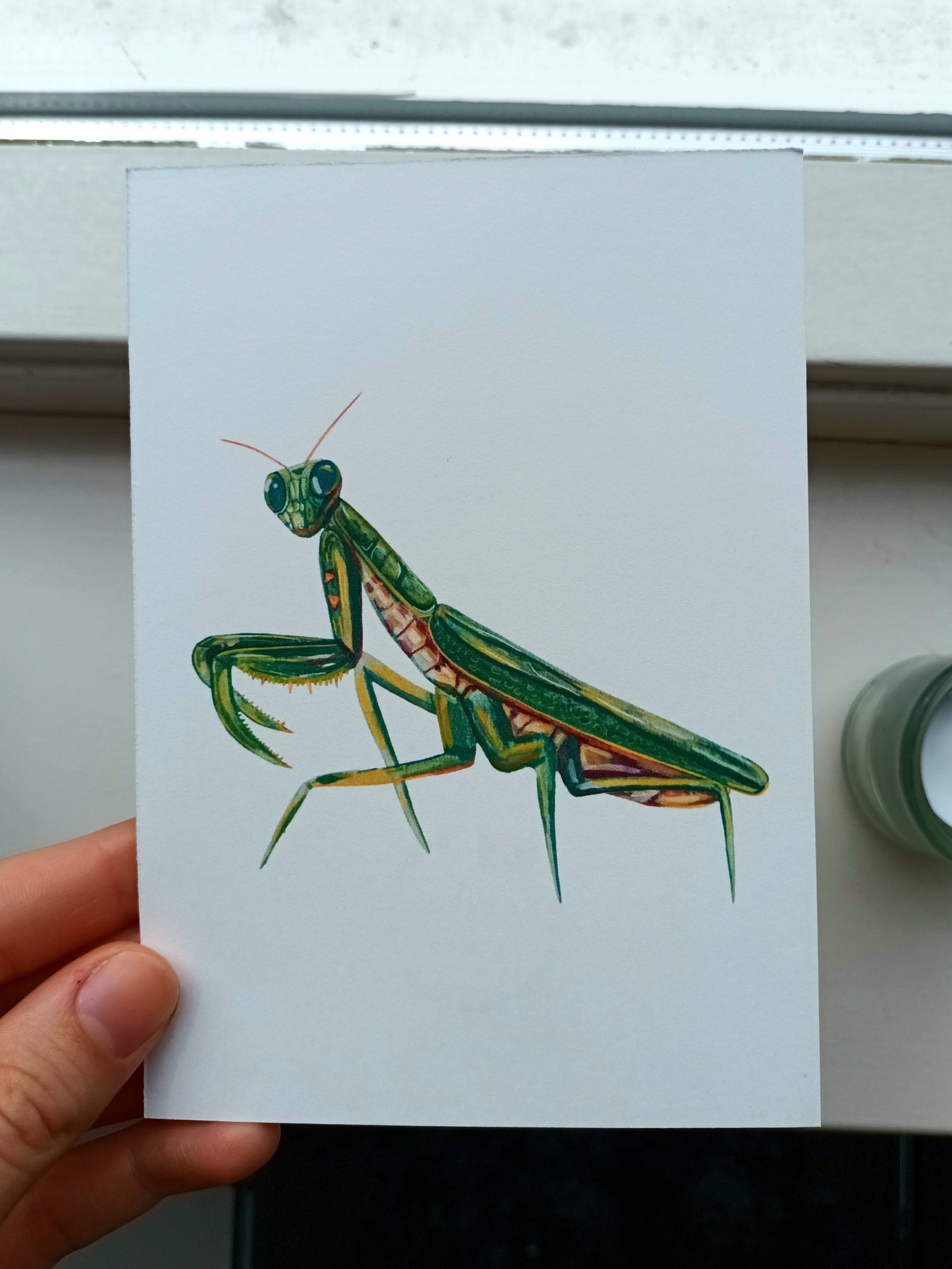 Hand holding a card with a green praying mantis illustration.