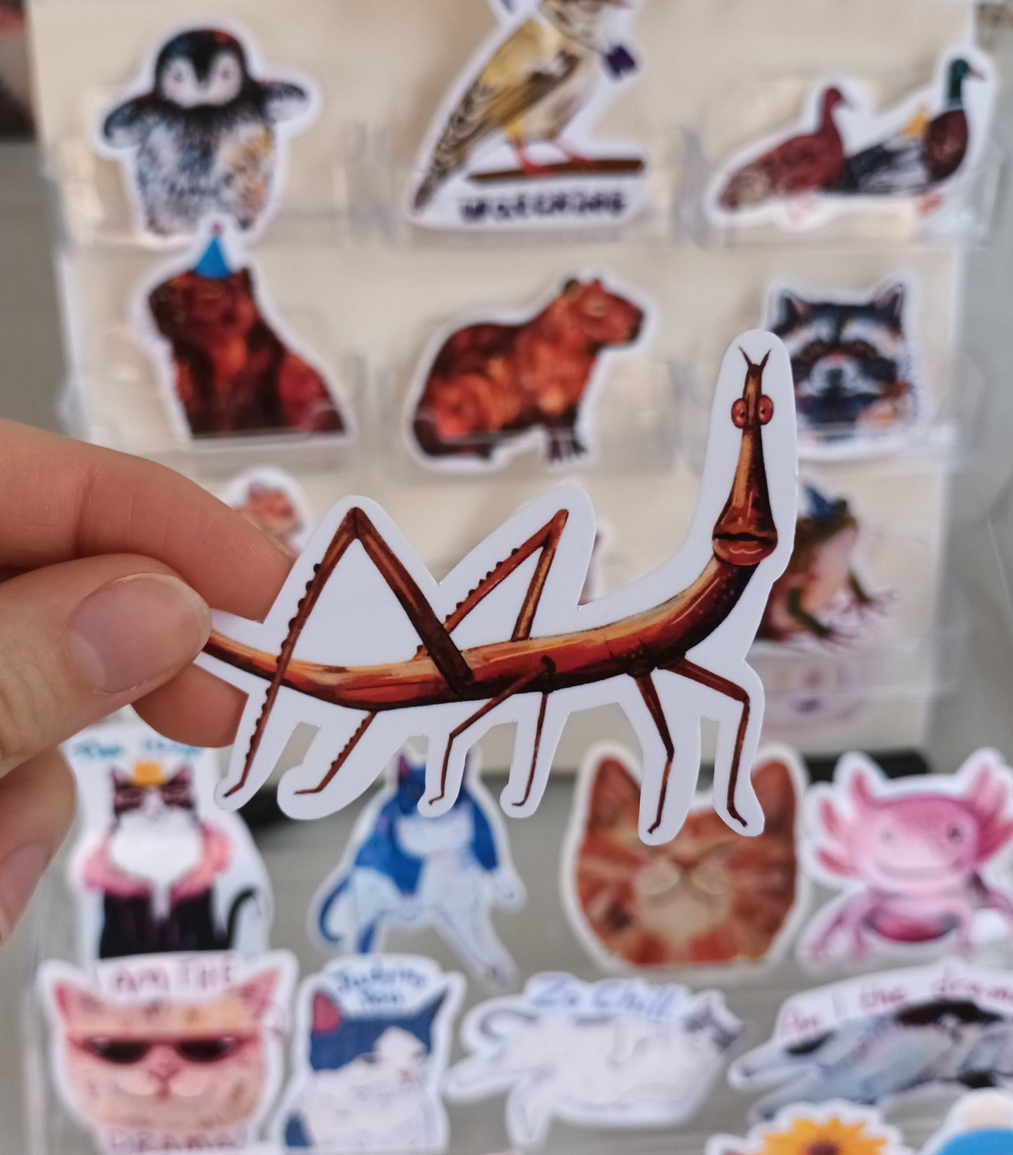 Quirky stick bug vinyl sticker for laptops or water bottles