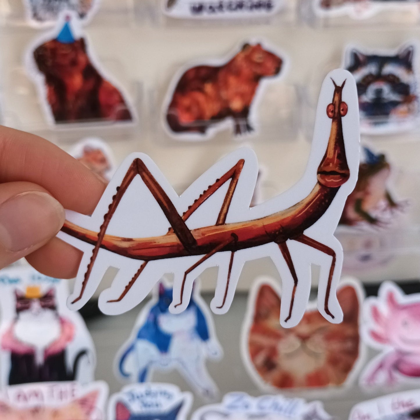 Quirky stick bug vinyl sticker for laptops or water bottles