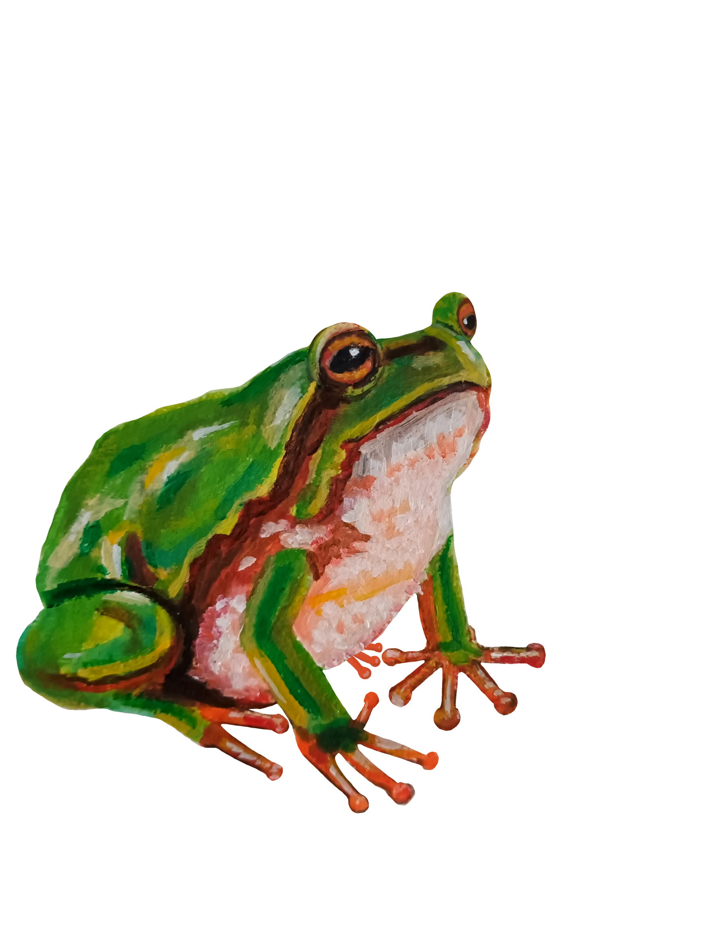 Cute green frog sticker, hand-drawn illustration, waterproof vinyl decal design