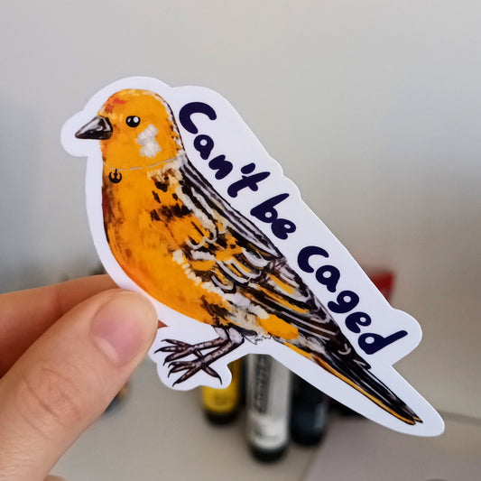 Hand holding a sticker with a bird design and text 'Can't be caged' on a neutral background.