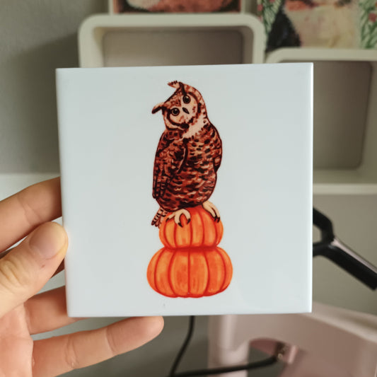 A hand holds a square white ceramic tile featuring an illustration of a brown owl perched on top of two orange pumpkins, with a blurred indoor background showing shelves and framed art.