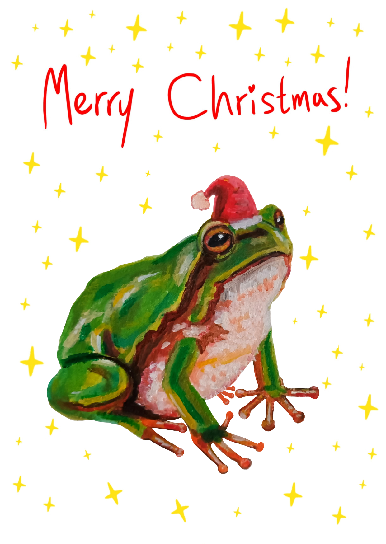 Xmas Card Set (5 cards)