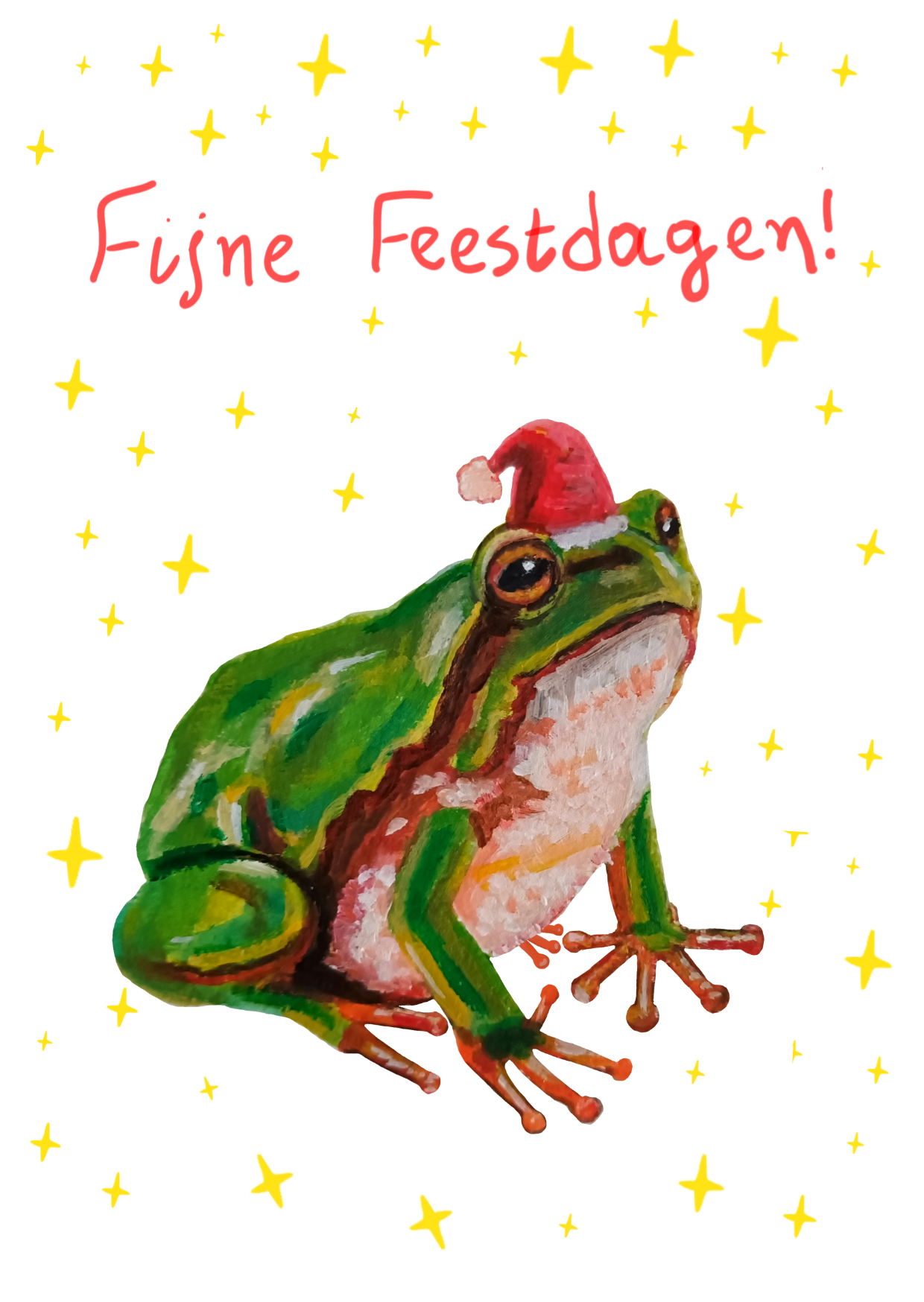 Xmas Card Set (5 cards)