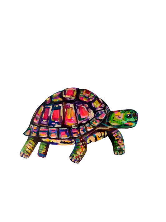 colorful and cute hand-drawn turtle illustration on waterproof sticker